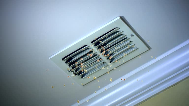 Best HVAC Air Duct Cleaning  in Taylor, MI