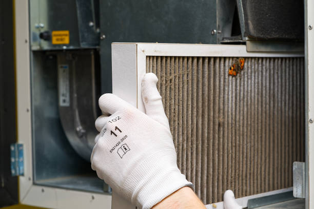 Best HVAC Duct Inspection Services  in Taylor, MI