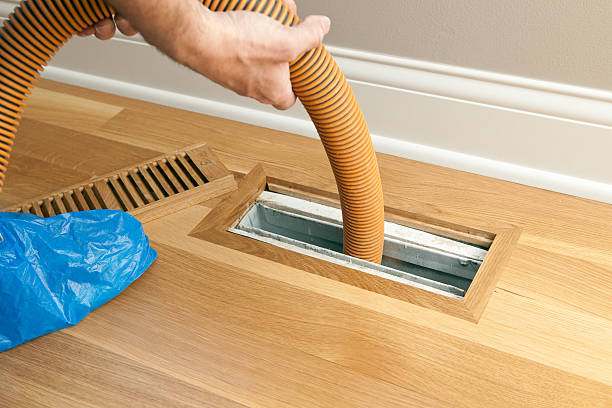 Best Affordable Duct Cleaning Services  in Taylor, MI